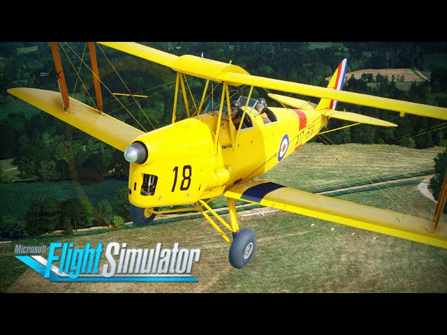 模型飛行機DH82 Tiger Moth & DHC-2BEAVER 模型飛行機DH82 Tiger Moth