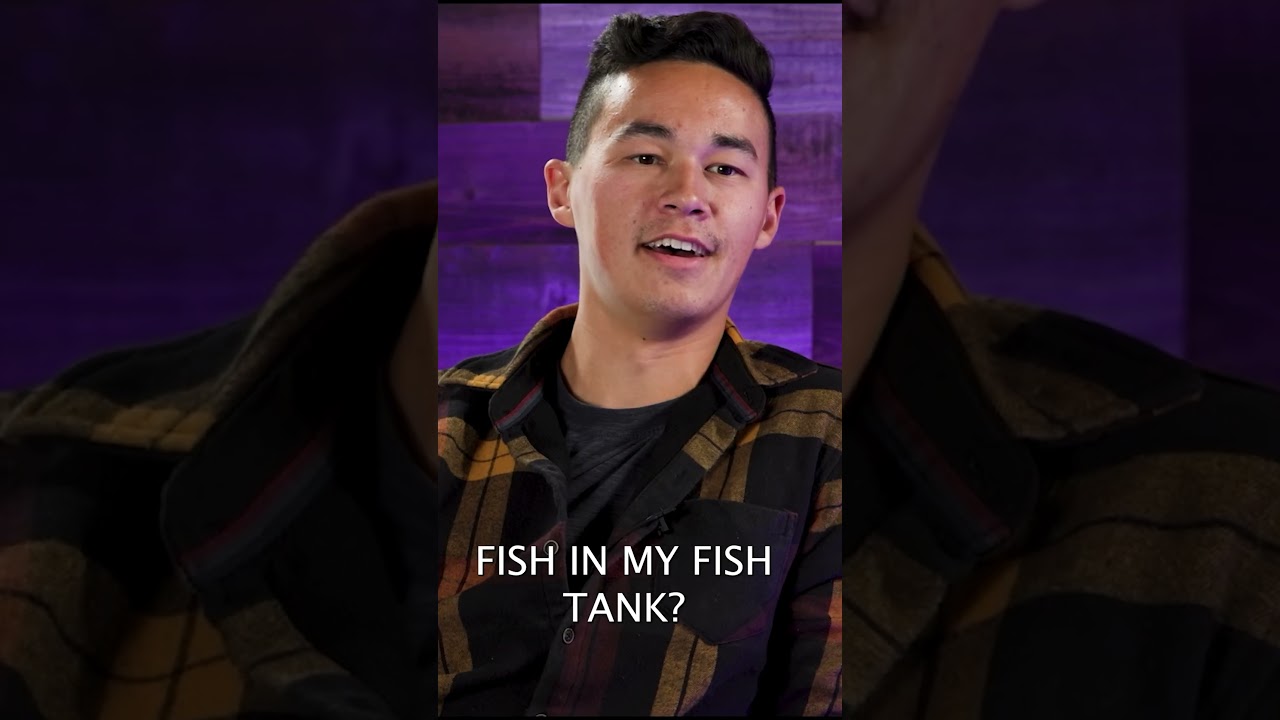 Where is all the fish and coral information?