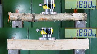 Raw Tree Vs Processed Wood Hydraulic Press Test