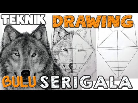 step by step CARA menggambar BULU serigala