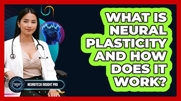 What Is Neural Plasticity And How Does It Work? - Neurotech Insight Pro