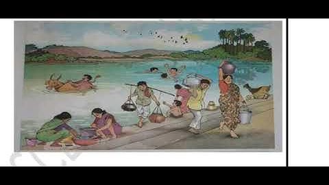 BRIDGE COURSE DAY 11 SDT 3 ENVبرج کورس گیارھواں دن جماعت سوّم مضمون ماحول کا مطالعہ