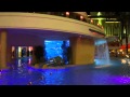 Golden Nugget Video Tour of their Amazing Pool Right in ...