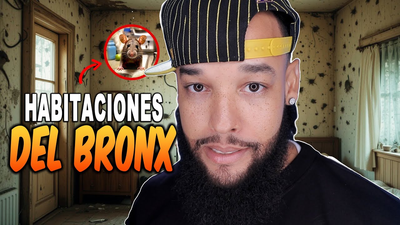 VIVIENDO EN UNA HABITACION EN EL BRONX, NY MI EXPERIENCIA