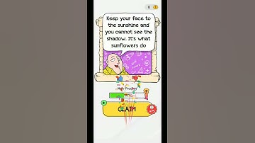 Braindom 2 Level 182 Walkthrough