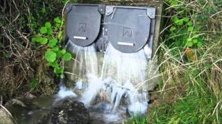 Ecologistas denuncian vertidos a la ría de Villaviciosa y el mal funcionamiento del saneamiento