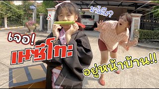 เจอเนซึโกะ!! อยู่หน้าบ้าน!!! | ละครสั้นหรรษา | แม่ปูเป้ เฌอแตม Tam Story