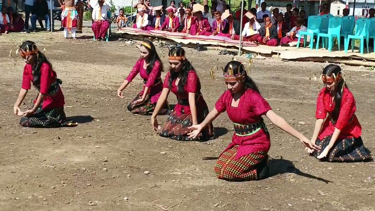 Tarian tiba meka dalam rangka congko lokap gendang daleng sampa, kec. lembor selatan, Kab. MABAR