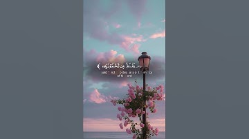 تلاوة مريحة لقلبك 🩷