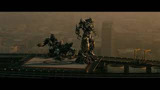 I can't even rely on you to swat a simple insect!