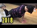 BTS JUNGKOOK (정국 BTS) 2018  Cute and Funny Moments