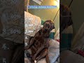 Those hilarious moments#fyp,#pov,#funny,#shorts,#story,#fyp,#greenscreen,#storytime,#retail