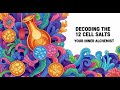 Decoding the 12 Cell Salts: Your Inner Alchemist