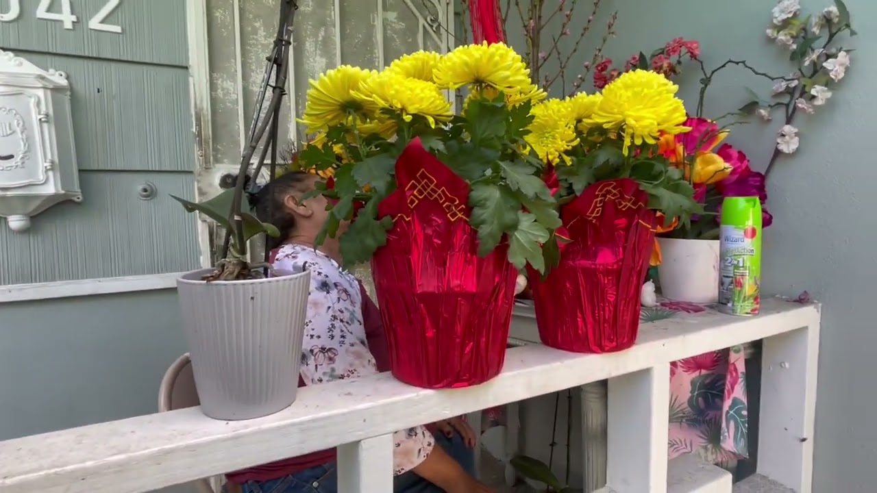 UN DIA CON MI MADRESITA EN SU CASITA😇❤️