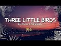 Bob Marley &amp; The Wailers - Three Little Birds (LYRICS)