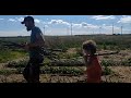 Tuteurer les tomates mise en place dune nouvelle technique avec la famille tuteur tomate