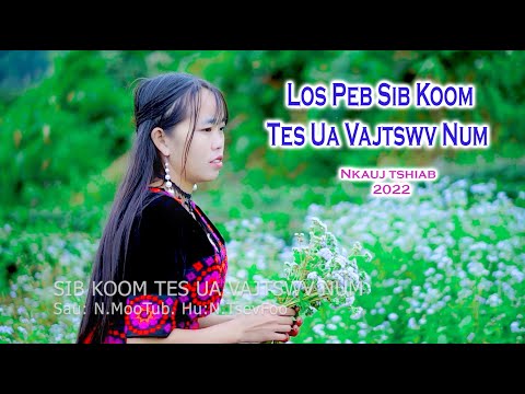 Video: Los ntawm kev sib koom tes sib koom ua ke?