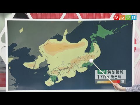 【気象予報士が解説】数日の暖かさでチューリップも咲き始め しかし17日も雨…その後の黄砂にも注意が必要【新潟】スーパーJにいがた4月16日OA