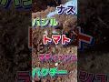 ↑↑↑詳しくはこちら。動画をチェックしてね!