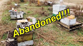 Going Through Some ABANDONED BEES | 1ST Hive INSPECTION in 6+ YEARS! WOW!!!