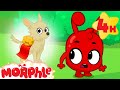 Morphle at the Dog Show! 🏆 | Morphle&#39;s Family | My Magic Pet Morphle | Funny Kids Cartoons