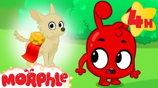 Morphle at the Dog Show! 🏆 | Morphle&#39;s Family | My Magic Pet Morphle | Funny Kids Cartoons