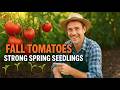 Leave Tomatoes in the Garden Over Winter – Watch What Happens!
