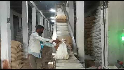 Loading Unloading Conveyor for Cold Storage