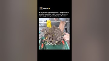 This Simple Tool Strips Corn in Seconds 🌽 #shorts
