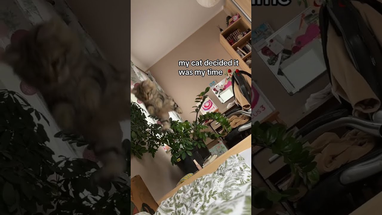 @minmimistandsforme: bro let me be 