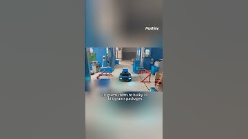 🎬 Curious about how the Mushiny 3D Sorter Mini works?