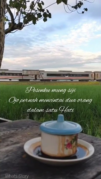 🔴story wa yowes rapopo #shorts#storywa