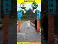 India vs Pakistan. mini wood toly woodworking art skill #facts #shorts