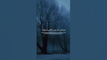 Surah Al-Maidah 017 سورة المائدة #quraniv #quran