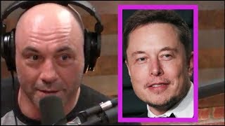 Joe rogan - elon musk wants to do the podcast!