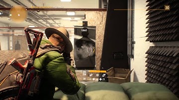 The Division DPS bug?