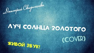 Луч Солнца Золотого (Бременские Музыканты Cover) (ЖИВОЙ ЗВУК!) Луч Солнца Золотого (Бременские Музыканты Cover) (ЖИВОЙ ЗВУК!)