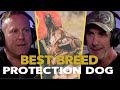 Police K9 Trainer Reveals the Best Dog Breeds for Protection Work – EP.70