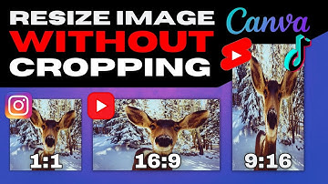 How To Resize Images & Videos in Canva Without Cropping | Stretch Photos To Fit Specific Frame Size
