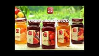 El Rashidi El Mizan Jam launch 2009 اعلان مربى الرشيدى الميزان