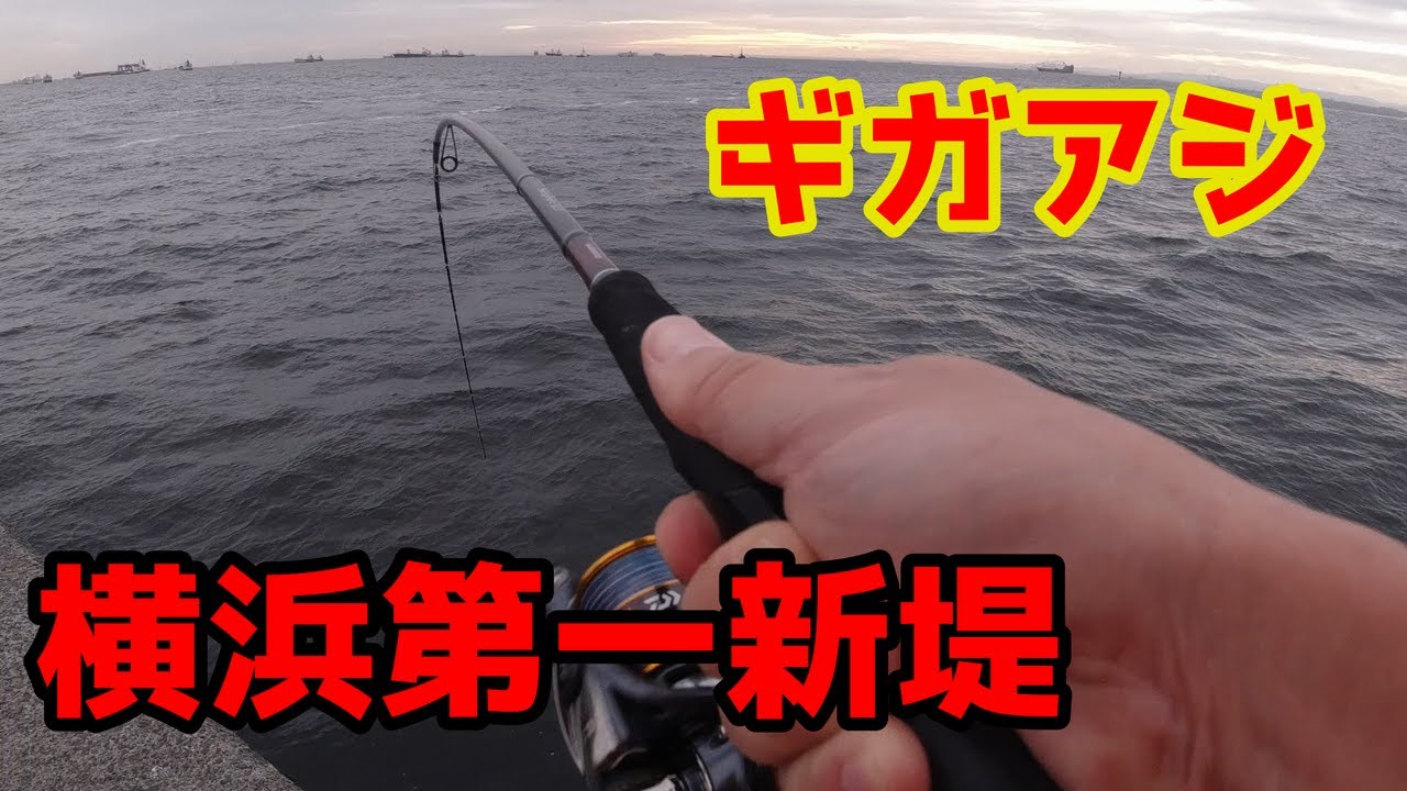 19年9月横浜の第一新堤 Youtube 19年9月横浜の第一新堤 Youtube
