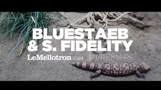 Bluestaeb &amp; S. Fidelity - Fuckin’ Up (Official Video) | Le Mellotron Premiere