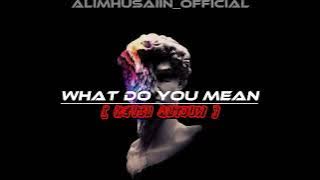 DJ ACARA - WHAT DO YOU MEAN [ Kevin Antouw ] !!!