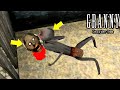 Funny Moments And Secrets in Granny Chapter 2 V1.0.1 New Update