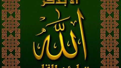 سوره  الغاشيه  ..محمد حسين عامر