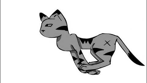 Cat Run Cycle Test (First Try)