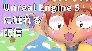 【UE5】黙々と石を積む作業配信【ケモノ系Vtuber】