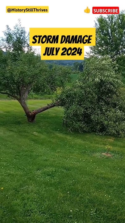 on july 4th 1977 a thunderstorm swept through wisconsin damage