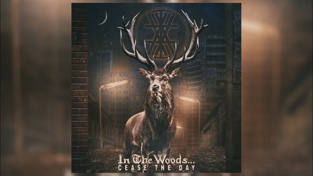 In the Woods...ブラックメタル　blackl maxresdefault.jpg