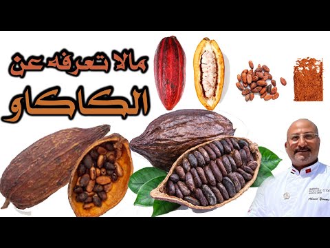 انواع الكاكاو اعرف الفرق بين الغامق والفاتح